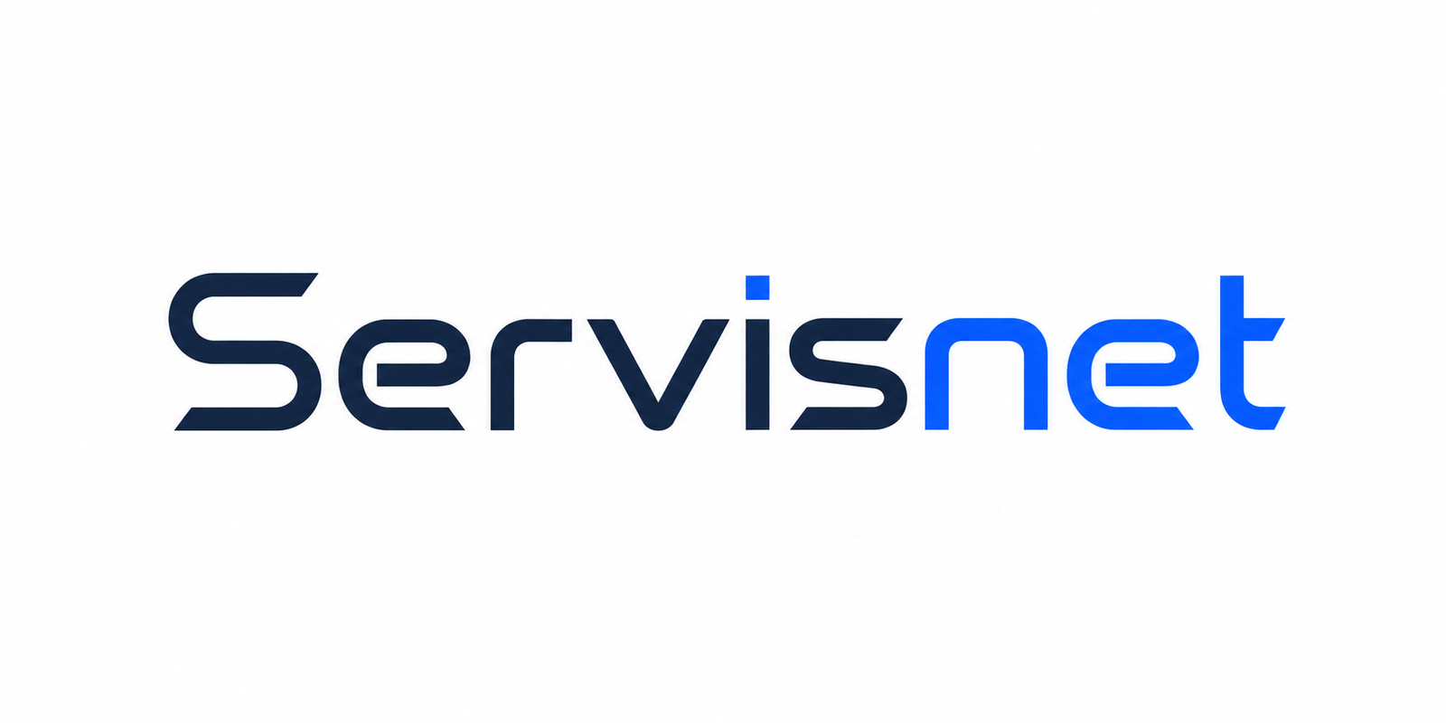 Servisnet Company Logo
